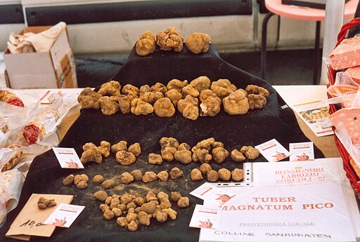 Weiße Trüffel, Tuber magnatum